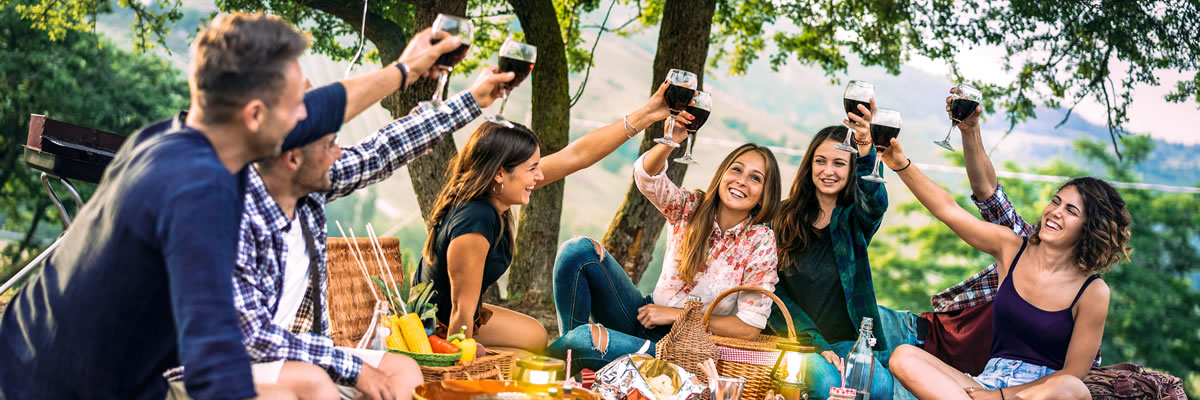 Picnic In Memorial Park